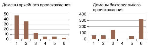 Распределение по функциональным 
группам «архейные» и «бактериальные» домены эукариотических белков.