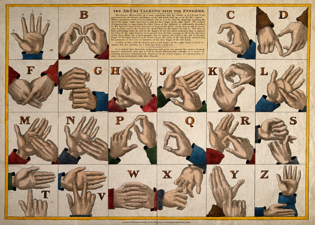 Лень повлияла на формирование языка жестов
