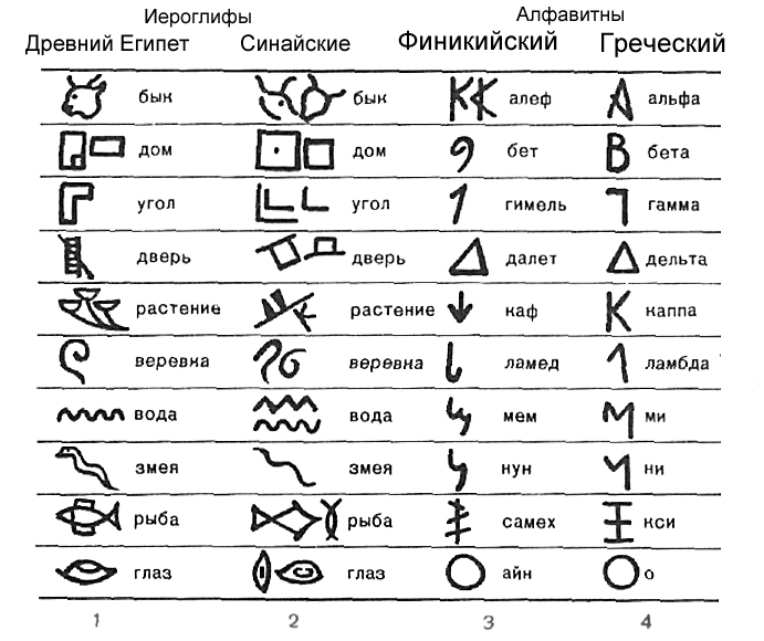 Финикийские буквы (3) произошли от древнеегипетских иероглифов (1). Одна из промежуточных стадий — синайское иероглифическое письмо (2). Из финикийского алфавита (3) произошел греческий (4).