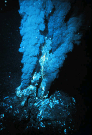 По мнению некоторых ученых, жизнь на Земле могла зародится в гидротермальных источниках. На снимке: «облако» сульфида железа поднимается над выходом горячих вод на морском дне (фото с сайта upload.wikimedia.org)